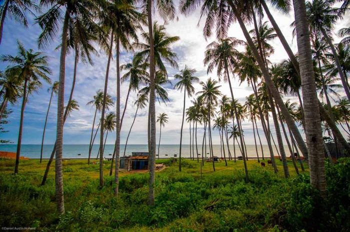 Thuê xe Phan Thiết - Sài Gòn - Mũi Né. Minh Hân